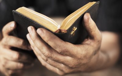 The Best Chronological Bible Reading Plan