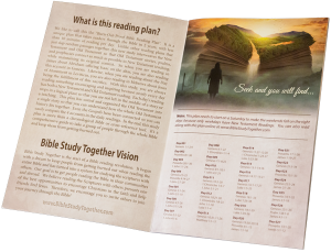 Order Printed Chronological Cross-Reference Bible Reading Plan - Bible ...
