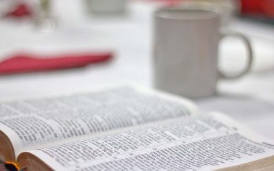 Choosing the Right Bible Reading Plan