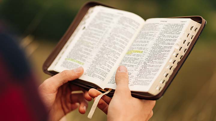 4 Tips to Read the Whole Bible